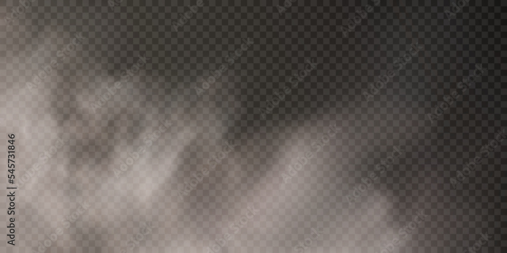 Poster translucent smoke isolated on a transparent background. steam effect special effect. vector texture 