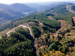 Rio de Cor - Serra da Lousã, Castanheira de Pera
Floresta Encantada