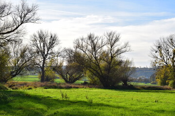kleiner Sumpfsee im Herbst