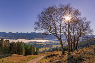 Ofterschwanger Horn - Allgäu - Obheiter - Sonthofen - Herbst