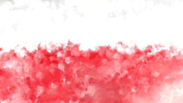 Colorful Poland flag theme with colorful white red watercolor art illustration background. Celebration of world cup soccer competition. Seamless 4K animation live wallpaper video.