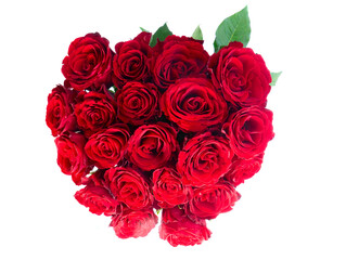 Fototapeta na wymiar Crimson red rose flowers