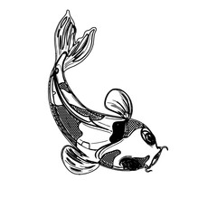 Koi fish black and white sketch design with a transparent background
