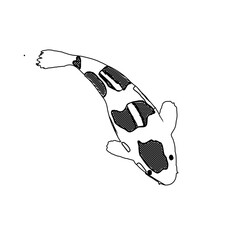 Koi fish black and white sketch design with a transparent background