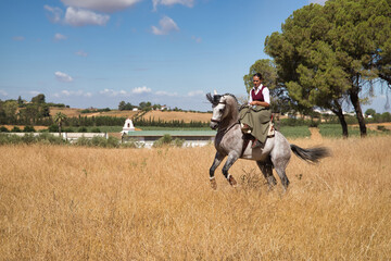 Woman horsewoman, young and beautiful, performing cowgirl dressage exercises with her horse, in the countryside. Concept horse riding, animals, dressage, horsewoman, cowgirl.