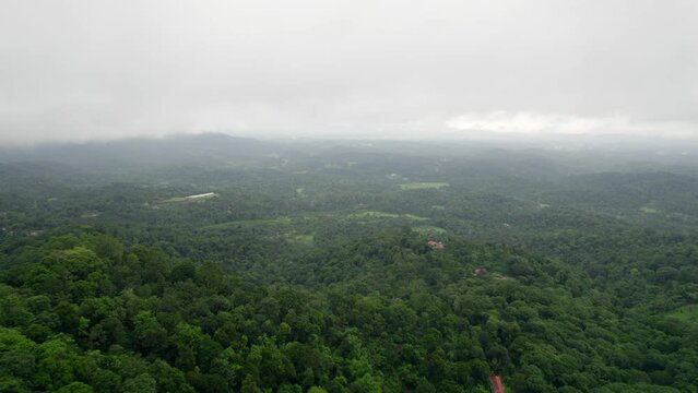 Drone shot of greenery landscape of Mountain's area with a heavy mist in Coorg, Karnataka, India