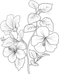 Isolated hibiscus flower hand drawn vector sketch illustration, botanic collection branch of leaf buds natural collection coloring page floral bouquets engraved ink art.