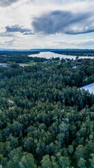 Aerial view of the forest landscape near Port Macquarie in New South Wales, Australia