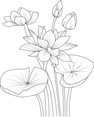 lotus blossom flowers and branch vector illustration. hand Drawing vector illustration for the coloring book or page Black and white engraved ink art, for kids or adults.
