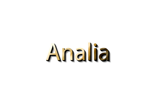 ANALIA 3D MOCKUP