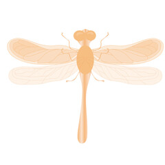 Dragonfly vector stock illustration. Isolated on a white background. A winged insect. An animal in the wild.
