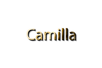 3d mockup name Camilla