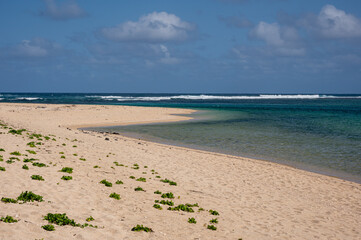 Waves breaking at the edge of the coral reef, Souillac Beach, Mauritius