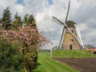 Low-angle view of a beautiful windmill near the forest