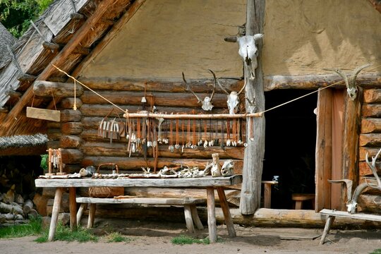 Biskupin settlement houses