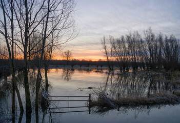 High water in the floodplain from the river Merwede