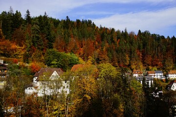 Beautiful landscape of autumn trees, fall colors surrounding village houses