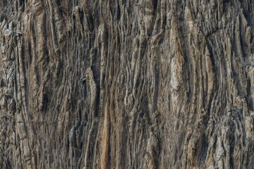Closeup shot of an old brown and grey tree trunk with texture