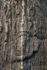 Closeup vertical shot of an old brown and grey tree trunk texture