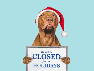 Signboard with the inscription We will be closed for the Holidays. Charming brown puppy and Santa costume. Close-up, indoors. Studio shot. Pet care concept. Sign for shop, store and sales