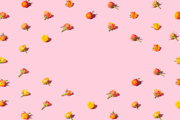 Beautiful red and yellow roses arranged in a pattern on a pastel pink background.  Valentine's Day concept banner.