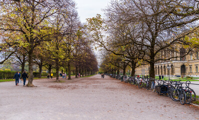 Hofgarten garden view in Munih City
