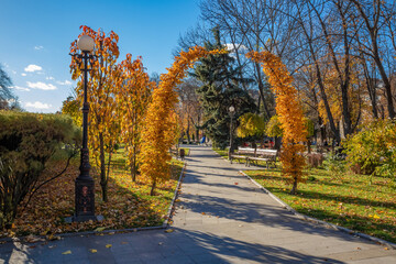 Autumn in the city garden Kremenchuk city. Pedestrian alley. Yellow leaves on trees and bushes