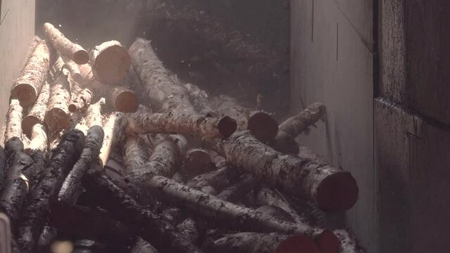 stripped bark from a tree, modern woodworking plant. wood processing