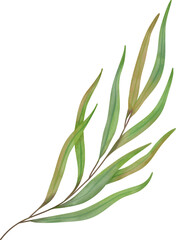Watercolor leaf painting clipart png