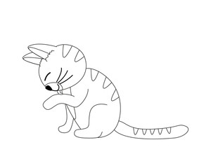 Tabby kitty licks paw. Coloring page. Black and white cat, kitten. Vector