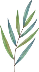 Watercolor leaf painting clipart png