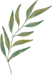 Watercolor leaf painting clipart png