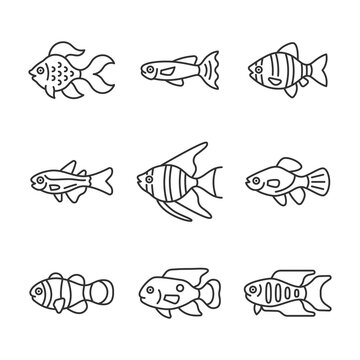 Aquarium fish line icon set. Tropical fish vector sign. Aquarium husbandry symbol. Editable stroke.