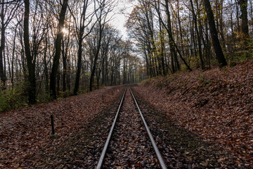 Fototapeta premium railway in the forest