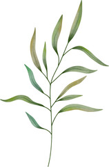 Watercolor leaf painting clipart png