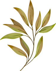 Watercolor leaf painting clipart png