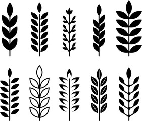 Black decorative wheat, cereals icons. Ears of wheat abstract vector design. Geometric creative organic branches graphic collection