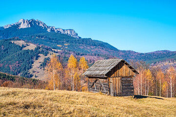 Wooden hut on the hill near autumn forest