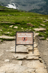 Stay On Trail Sign Along Logan Pass Trail