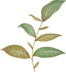Watercolor leaf painting clipart png