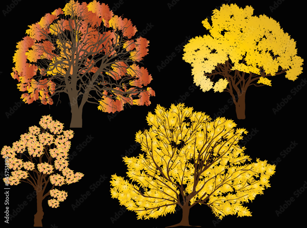 Canvas Prints five autumn trees collection isolated on black