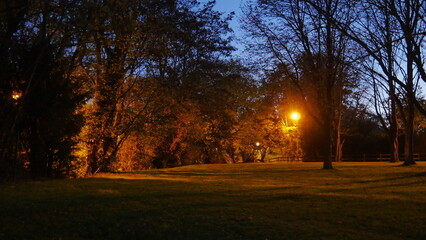 Un coin d'un parc ou celui d'une rue, zone urbaine éclairé par des lampadaires jaunes, avec un peu de nature, début d'automne, photo de nuit ou de soirée, avec un peu de brume.  - obrazy, fototapety, plakaty