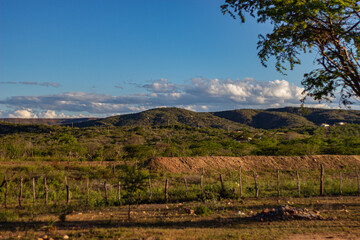 Naklejka premium tarde de verão