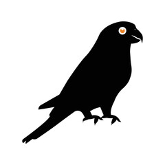 Cute parrot animal bird icon | Black Vector illustration |