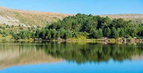 Mountain covered by green pine forest reflected on the water lake in Neila lagoons natural park in morning daylight, Neila, Burgos, Spain