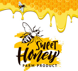 Honey background. flow of honey on lettering. Vector conceptual template