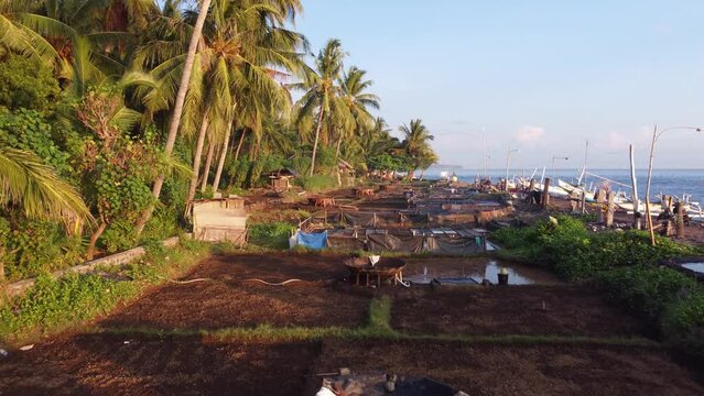 Aerial Morning Sunrise in on the beach in north - Traditional Salt Making Bali, Indonesia