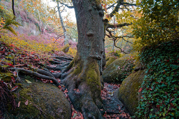 la Vallée des Traouiero à perros guirec - tregastel