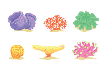 Colorful Coral as Marine Growing Flora from Ocean Bottom Vector Set