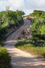 Sand road in the countryside of bahia, city of Conde, Brazilian coast, path with curb